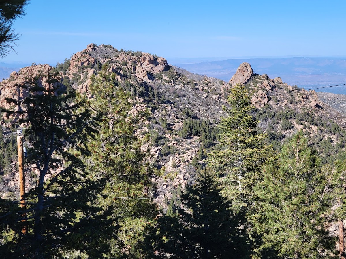 Hualapai Mountain Park Campground
