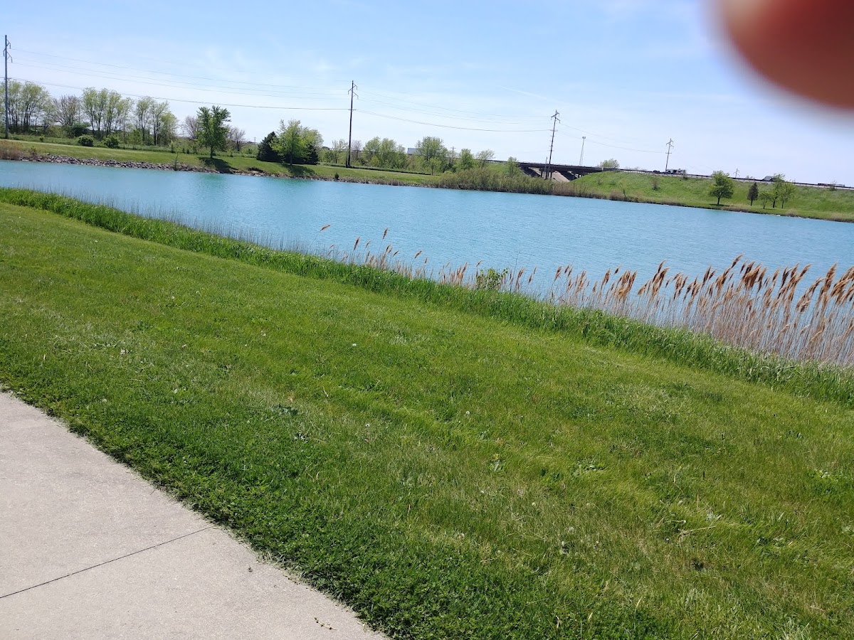 Silliman Lake Park