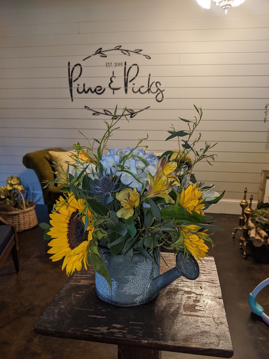 Pine & Picks, LLC
