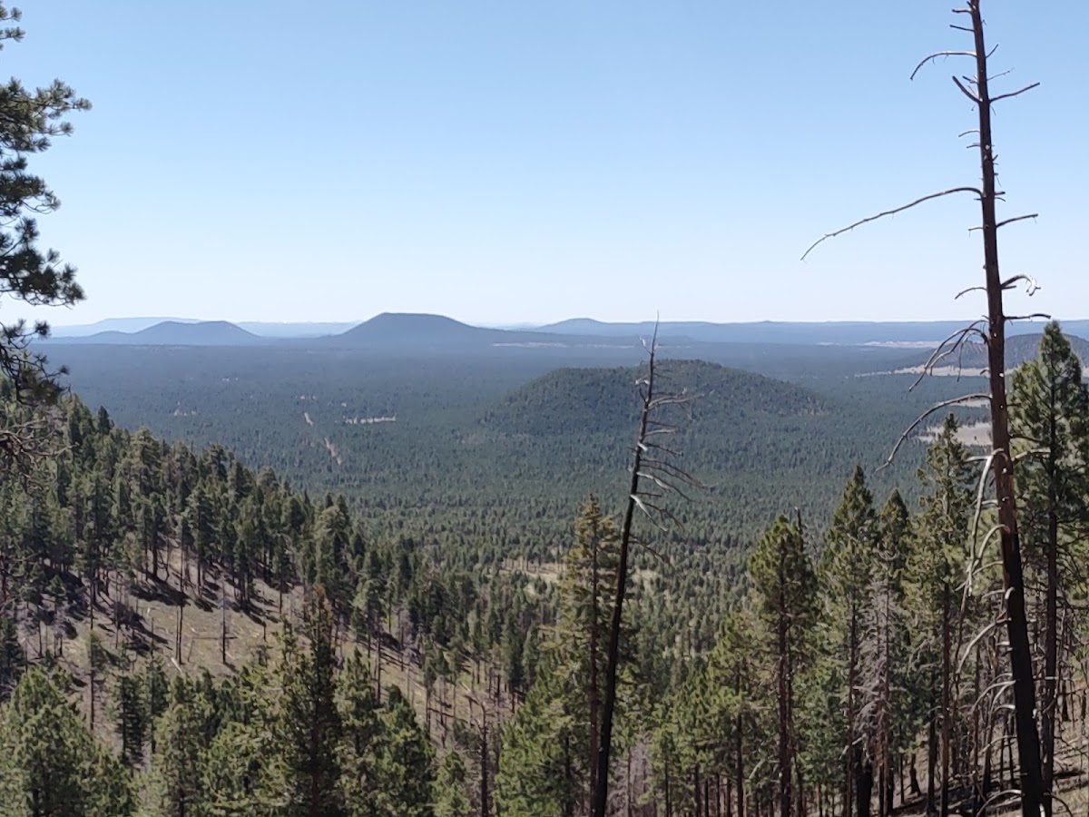 Kendrick Mountain Wilderness