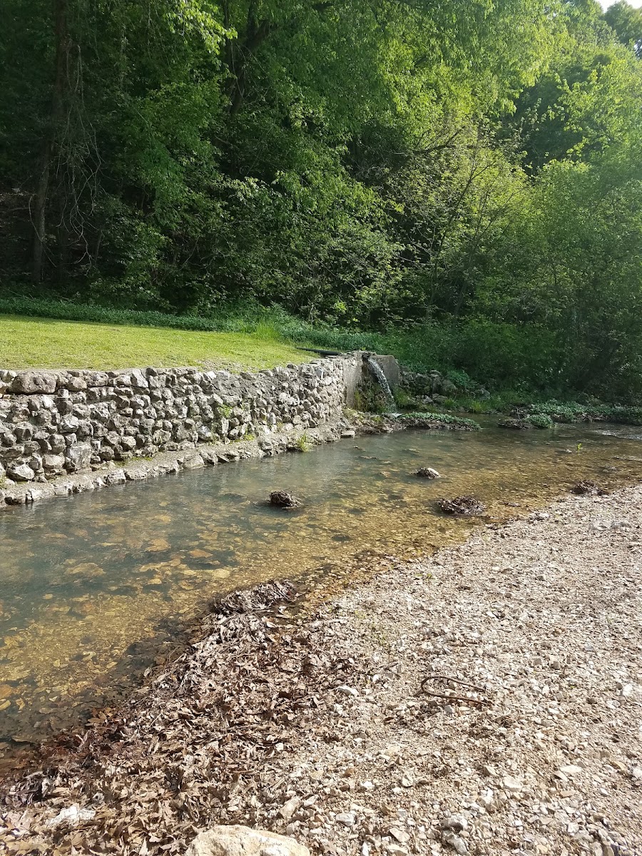 Pipe Springs Park