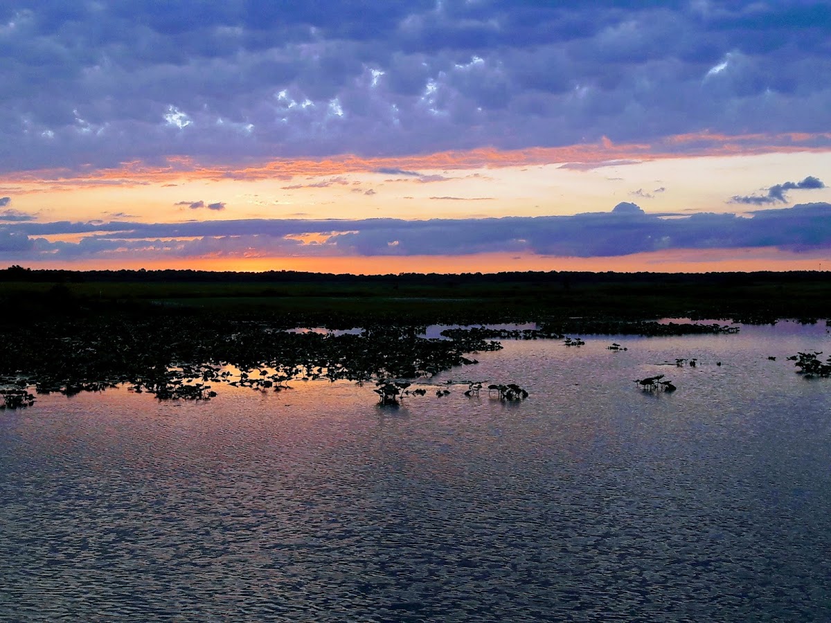 Shawnee Trail Conservation Area
