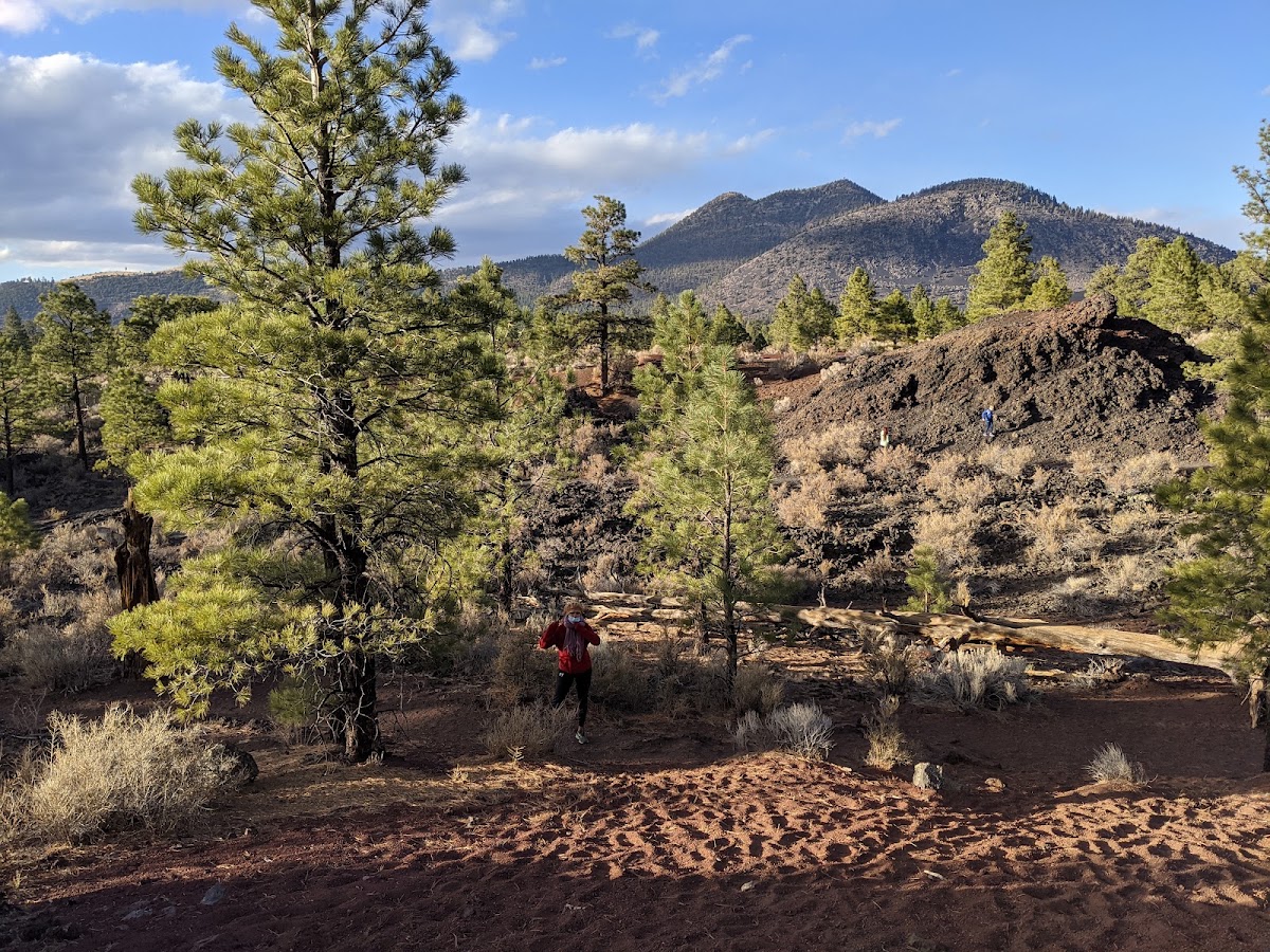 Lava Flow Trail