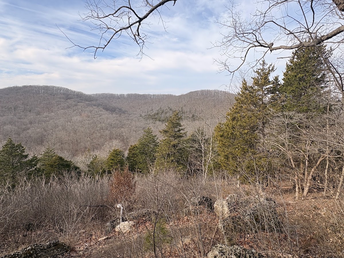 Greensfelder Park