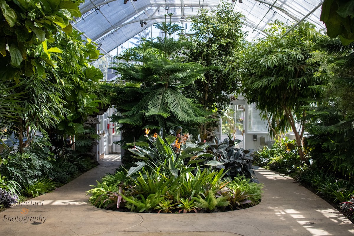 Wilder Park Conservatory