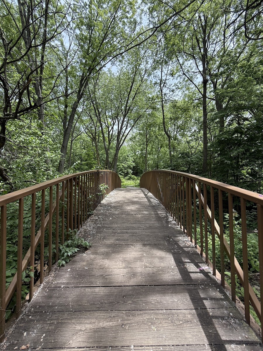 Hidden Creek Nature Sanctuary
