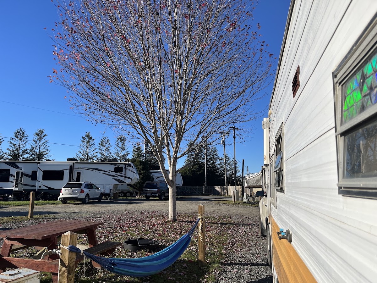 Redwood Coast Cabins and RV Resort