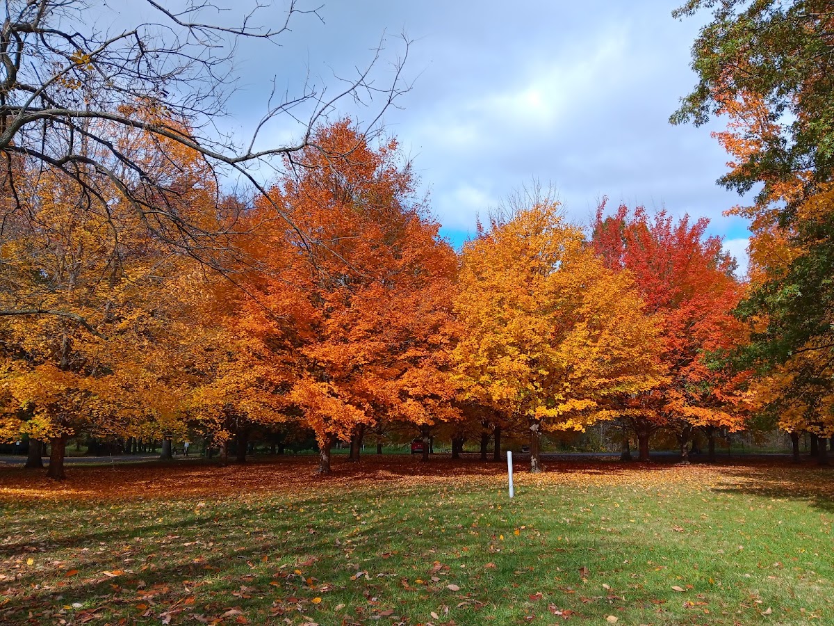 Kickapoo Creek Park