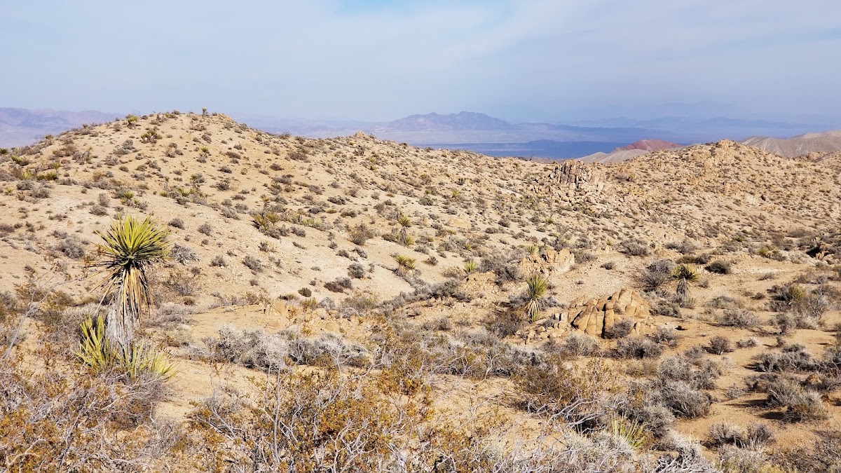 Rodman Mountains Wilderness Area