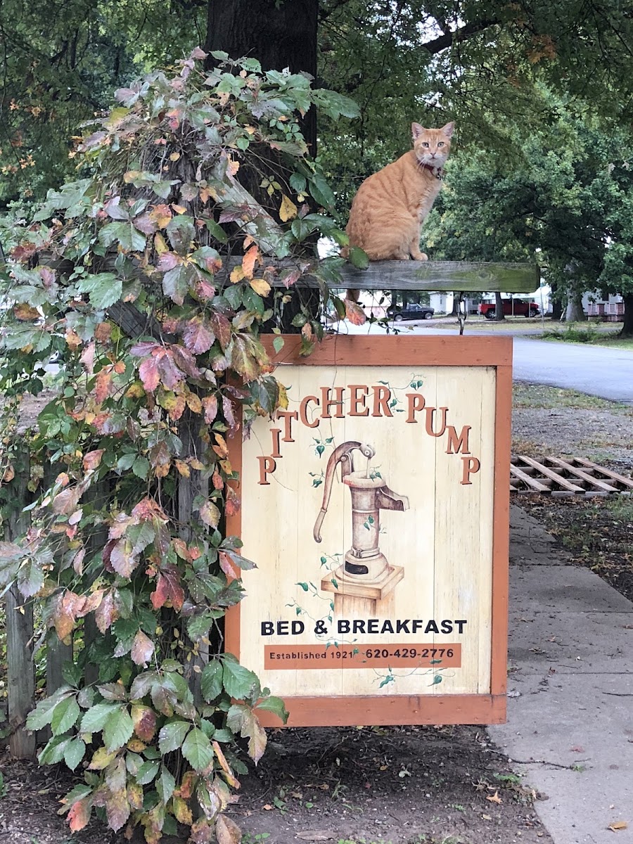 Pitcher Pump Bed & Breakfast