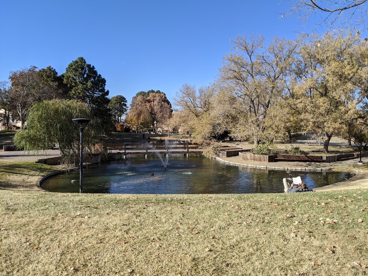 UNM Duck Pond
