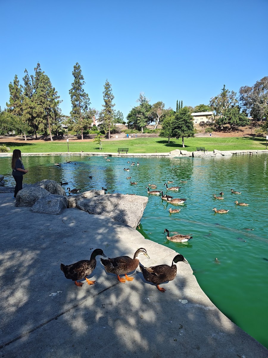 Red Hill Park