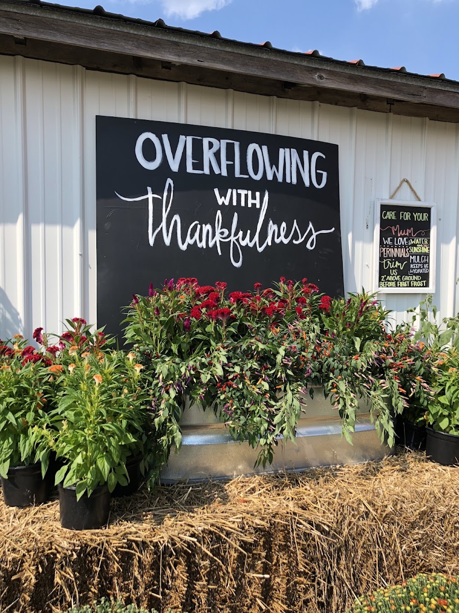 Hale’s Harvest Republic