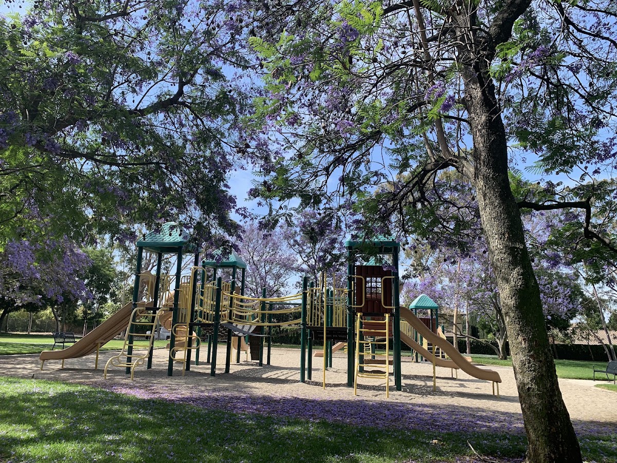 June Vail Park