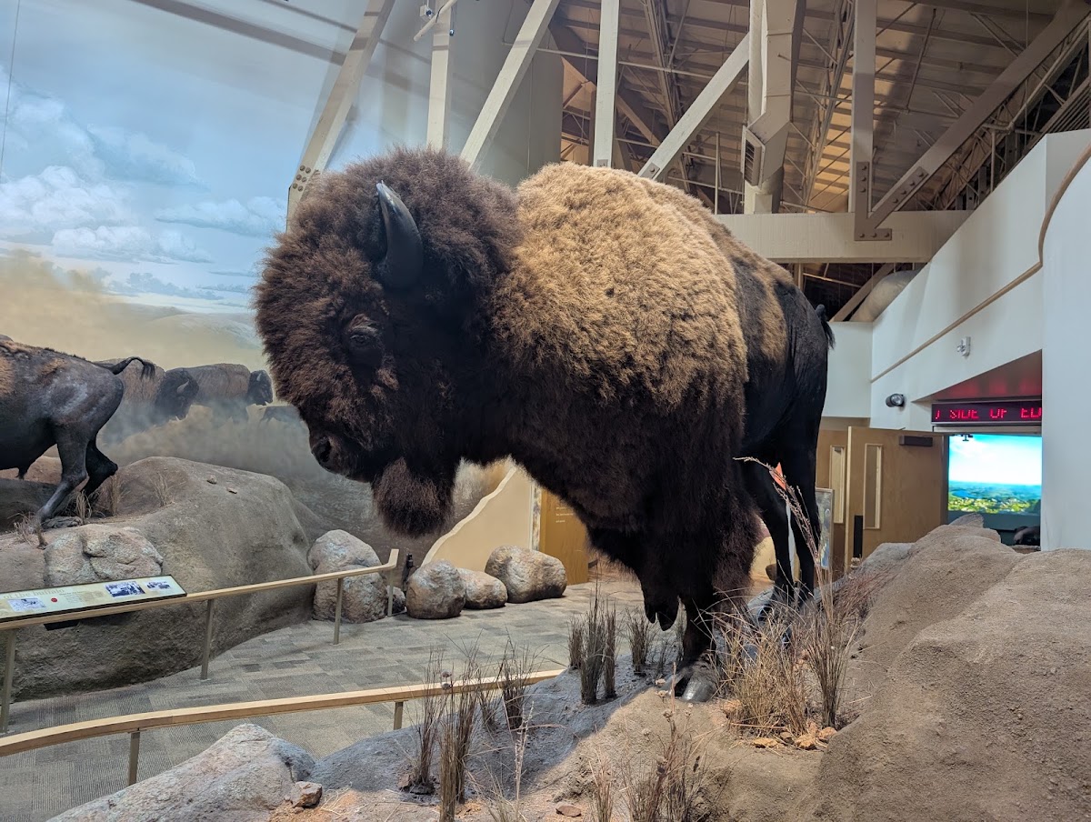 Wichita Mountains Wildlife Refuge Visitor Center