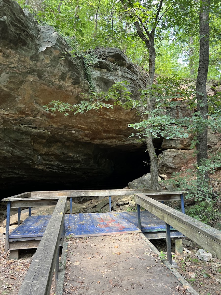 Schermerhorn Park