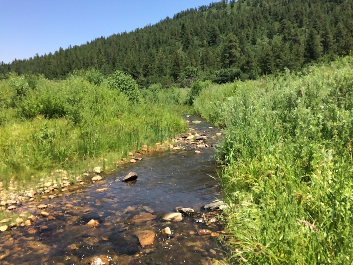 Coyote Creek State Park