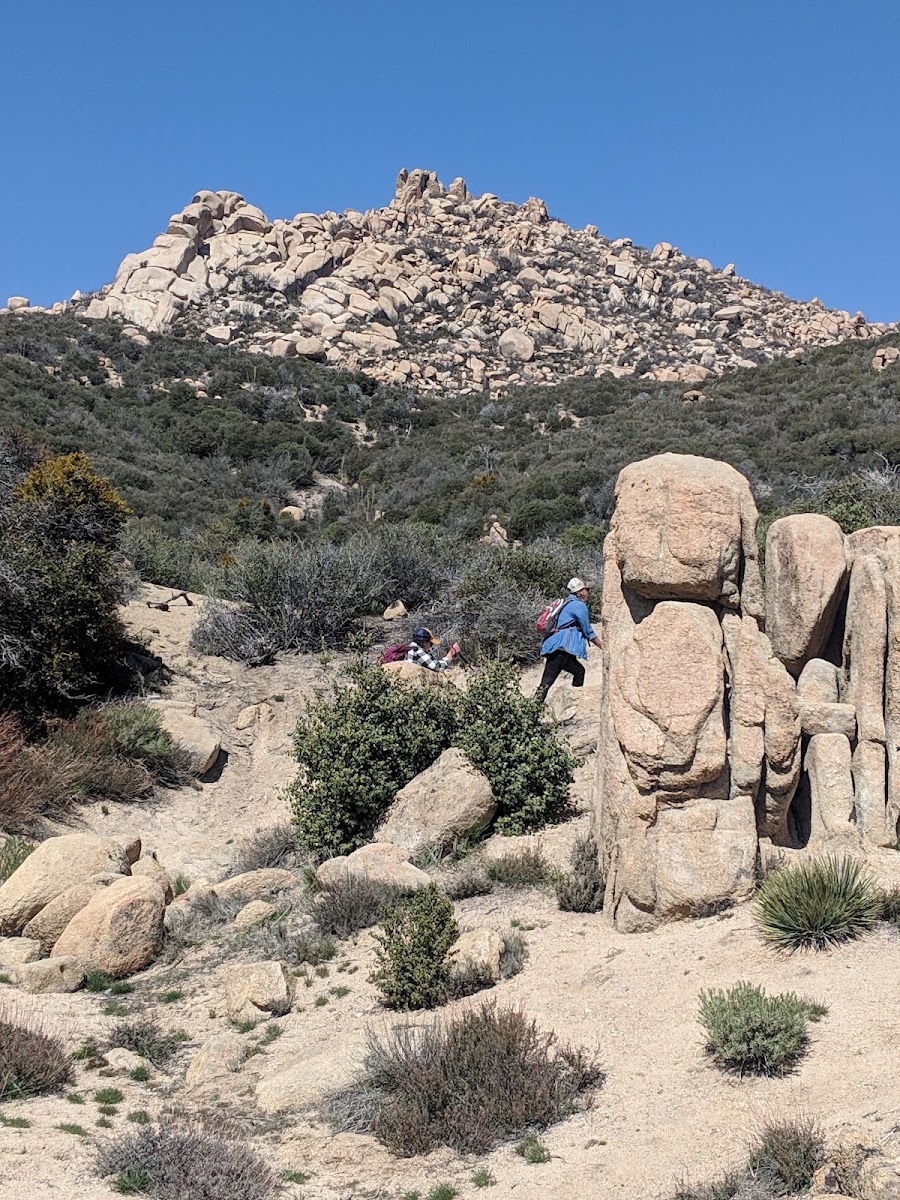 Pinnacles Trail 3W16