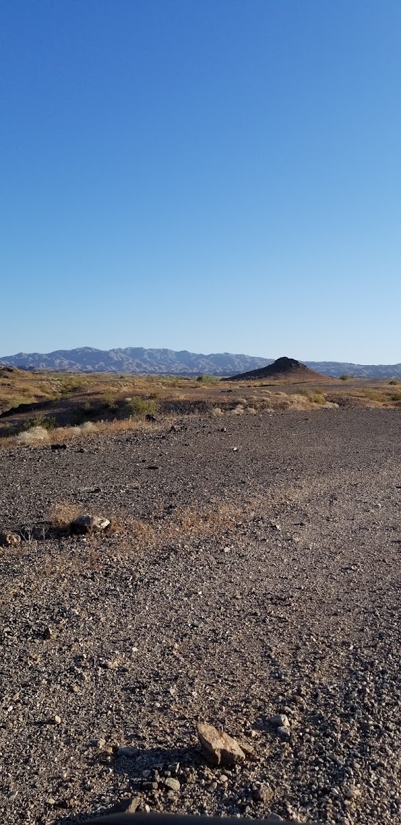 Whipple Mountains Wilderness