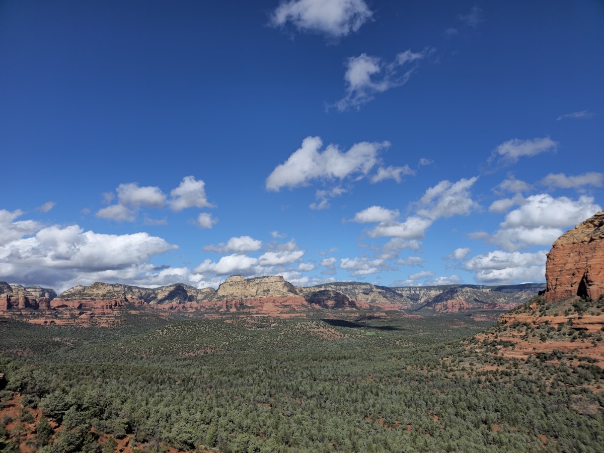 Coconino National Forest