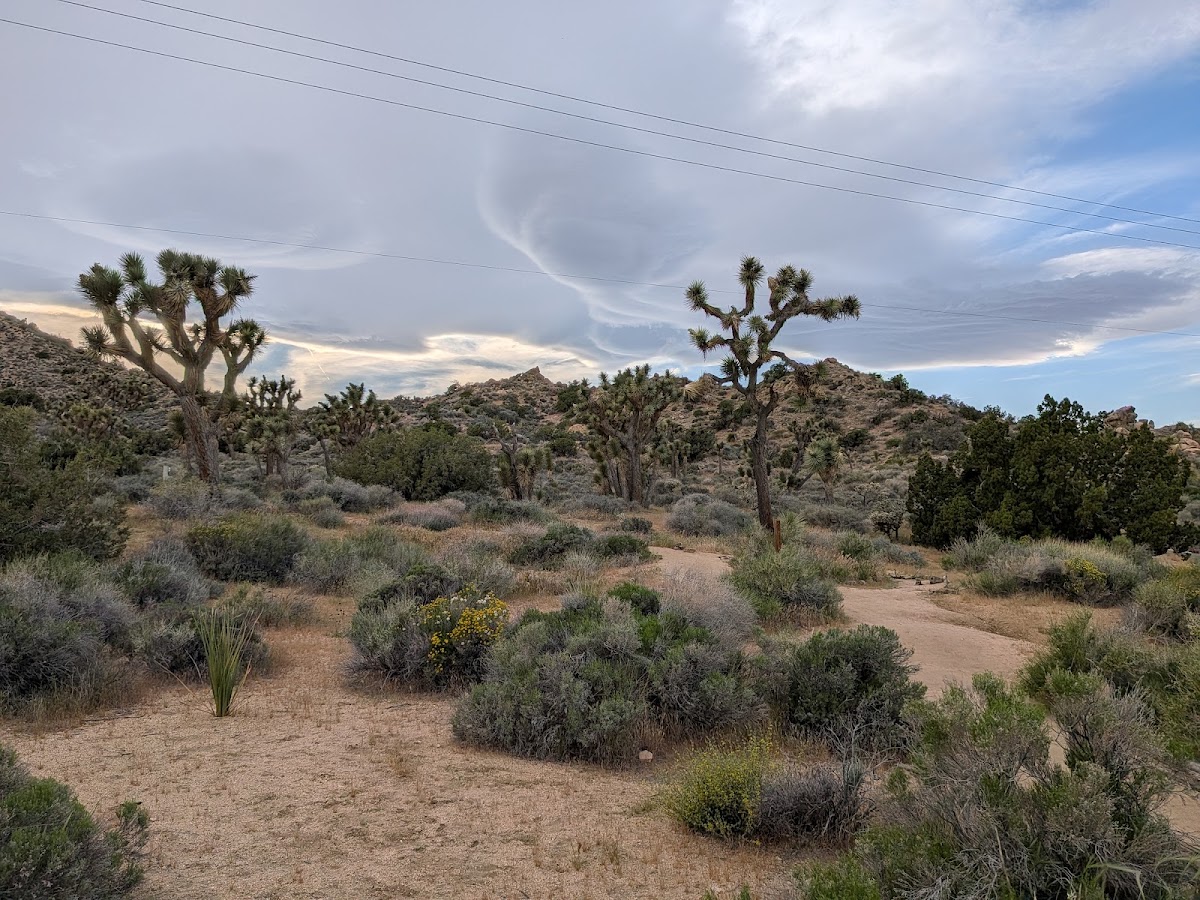 Black Rock Nature Center
