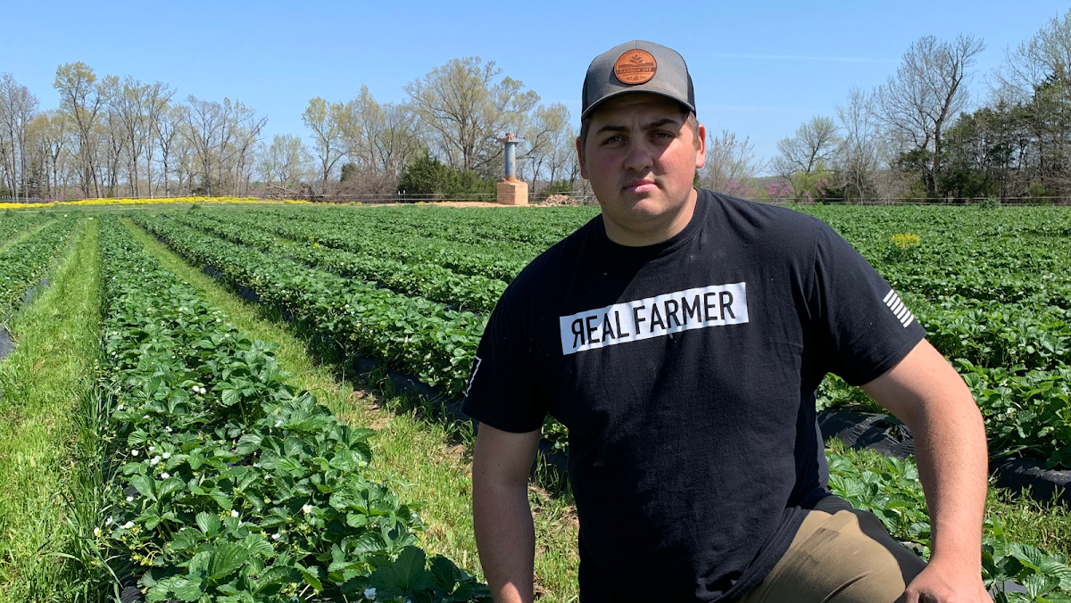Gardener's Orchard LLC