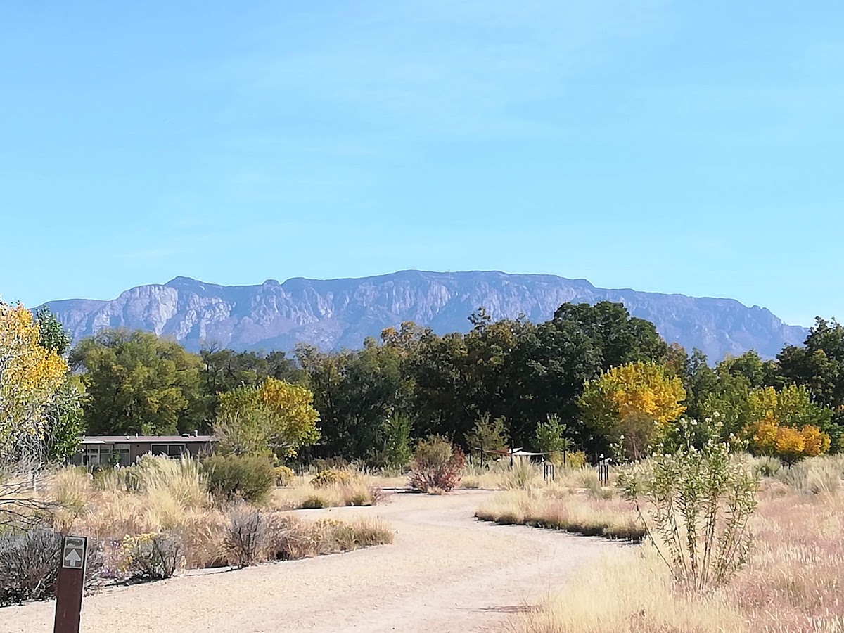Bachechi Open Space