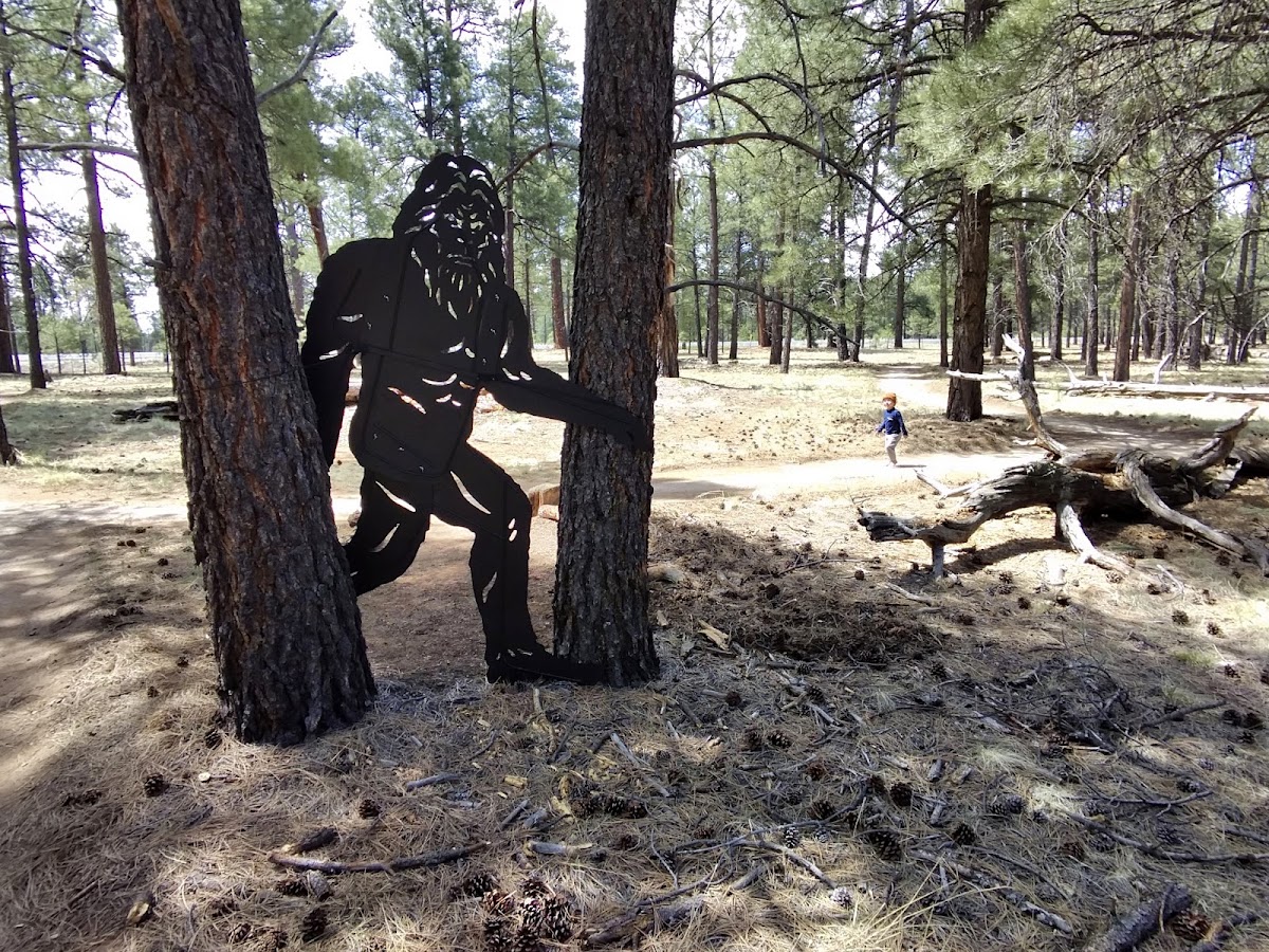 The Barefoot Trail - Flagstaff