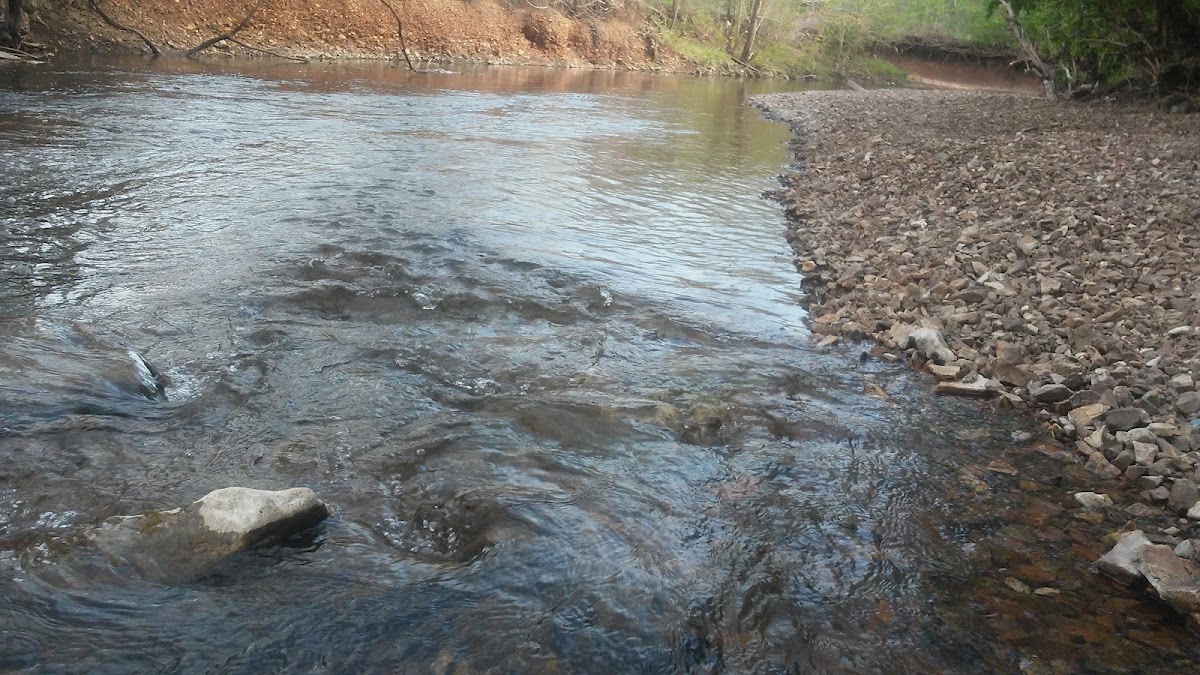 Wilson's Creek Greenway