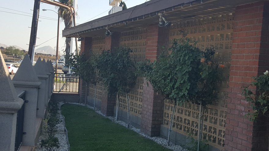 Colony Inn