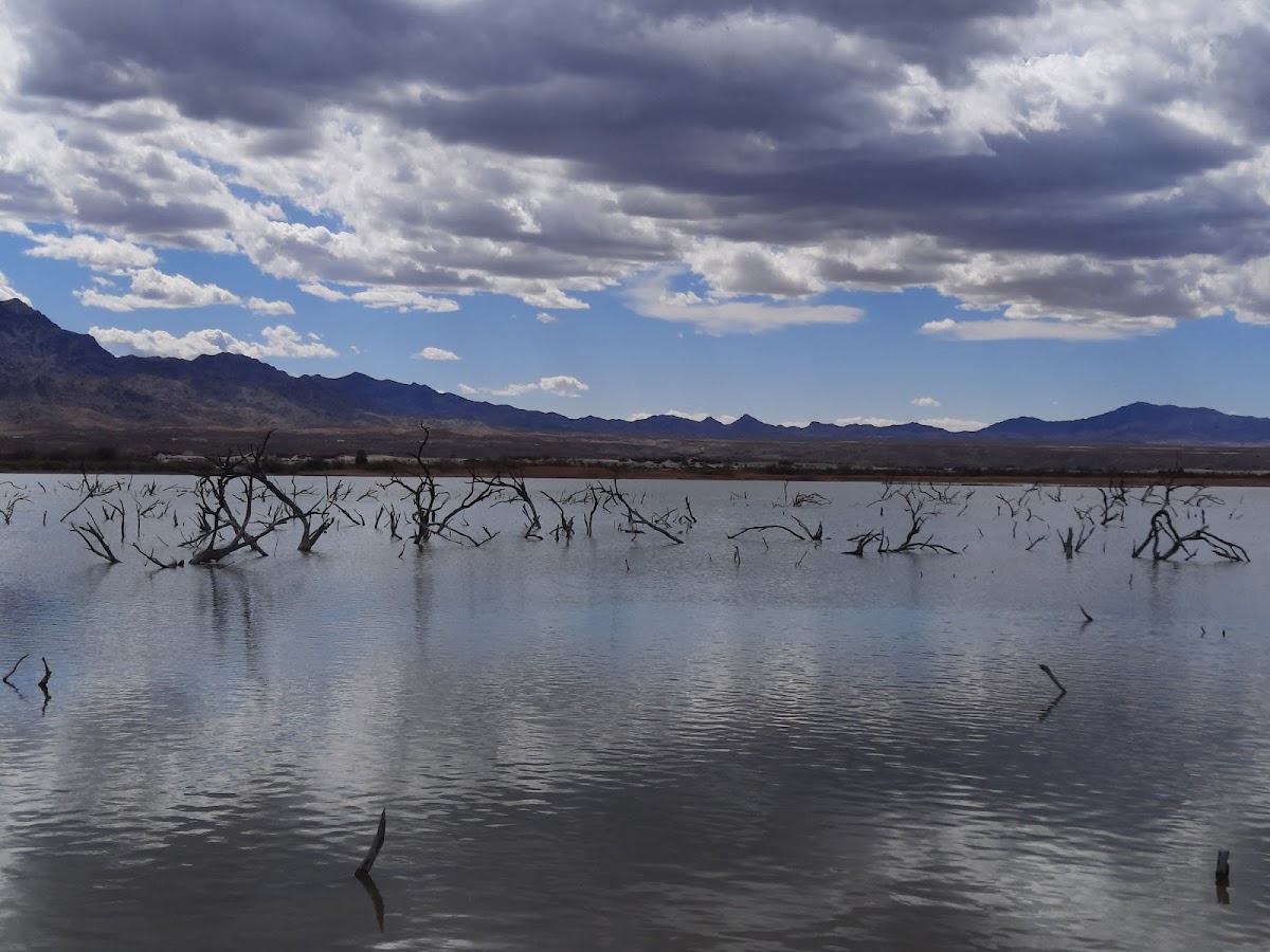 Havasu National Wildlife Refuge
