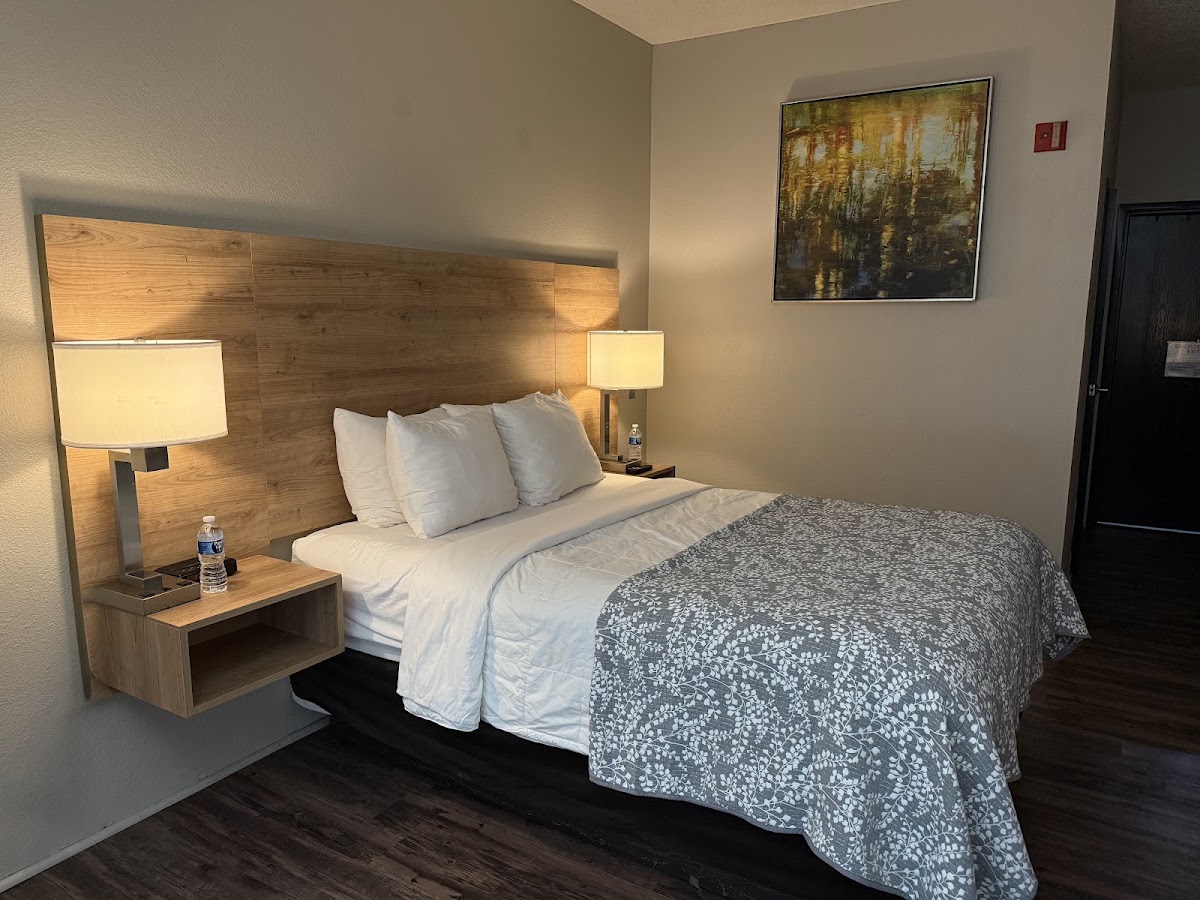 Edn Hotel Lincoln