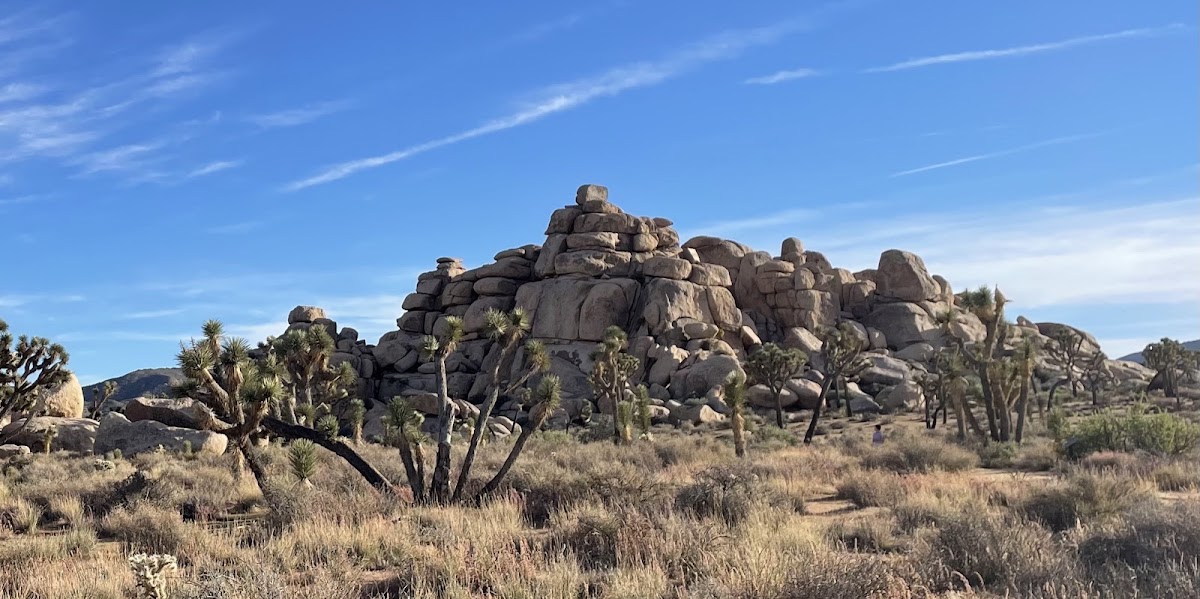Joshua Tree National Park Visitor Center