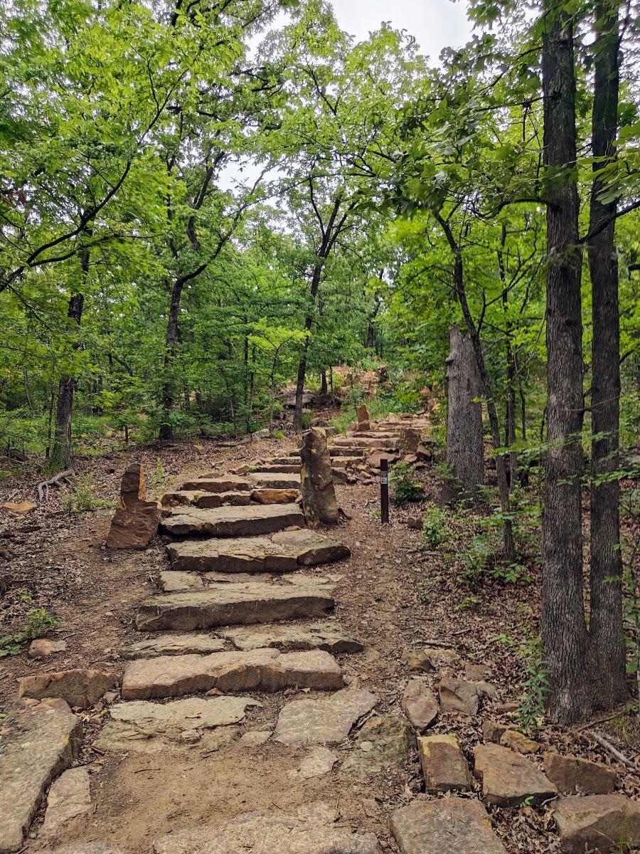 Turkey Mountain