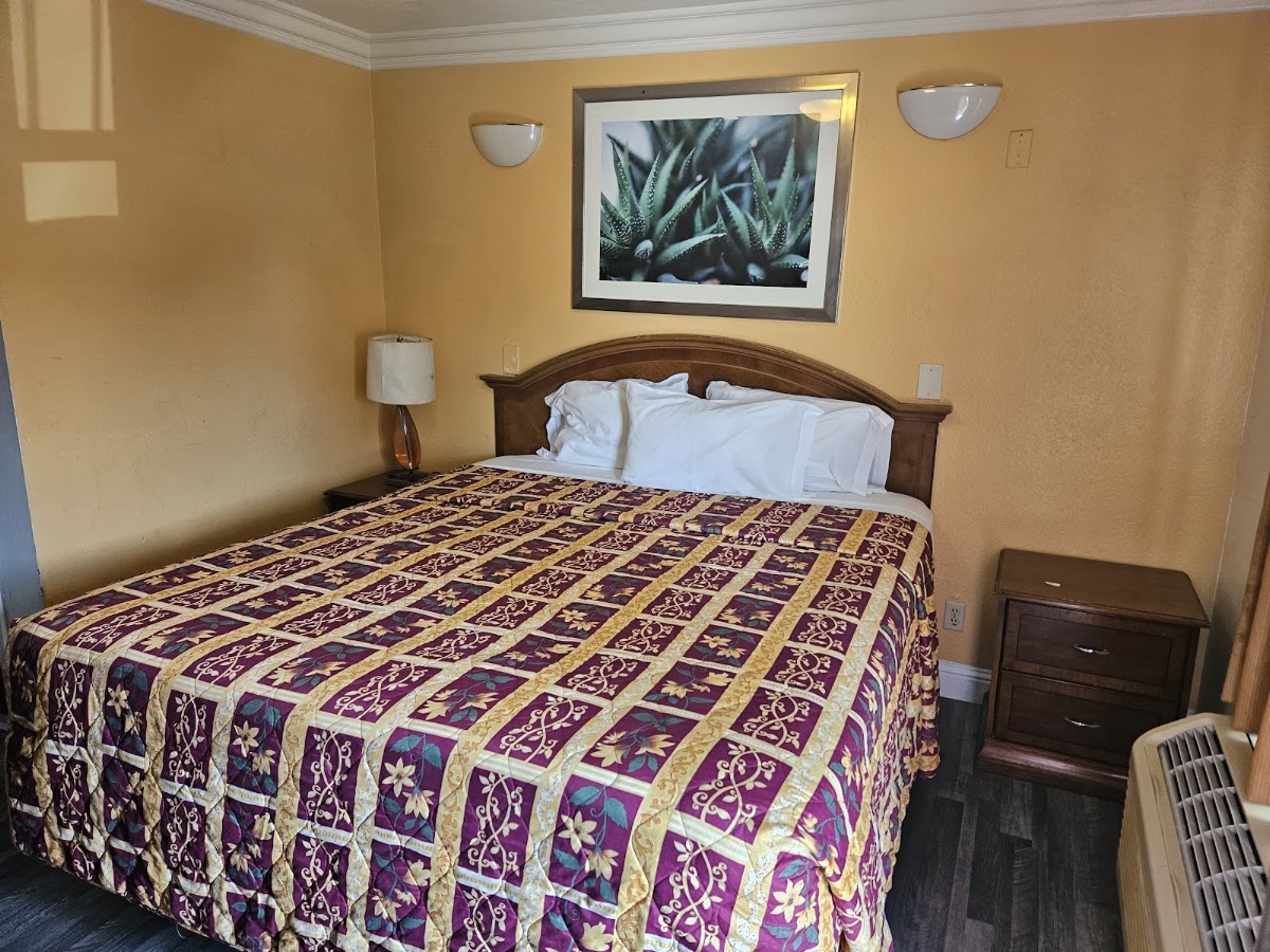 Flamingo Inn Motel