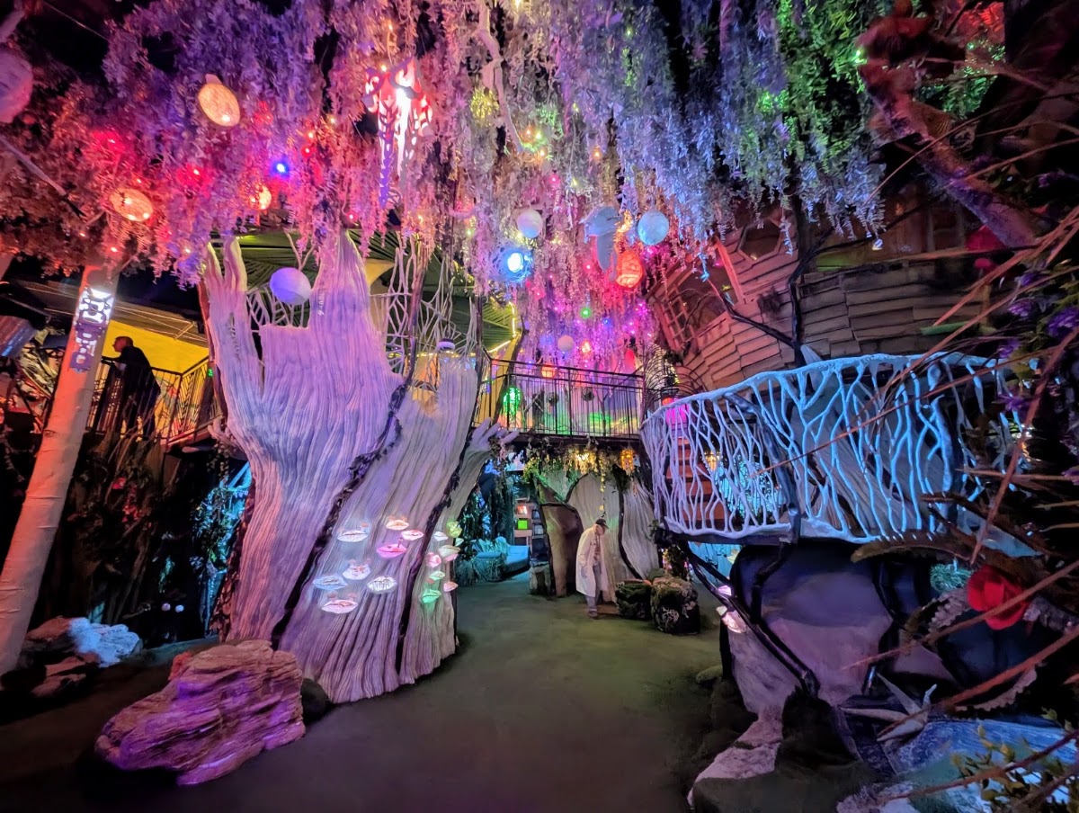 Meow Wolf Santa Fe's House of Eternal Return