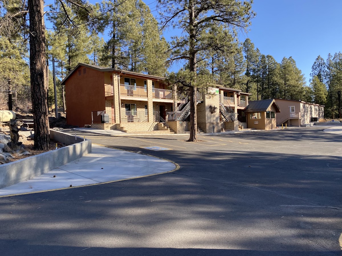 Motel In the Pines
