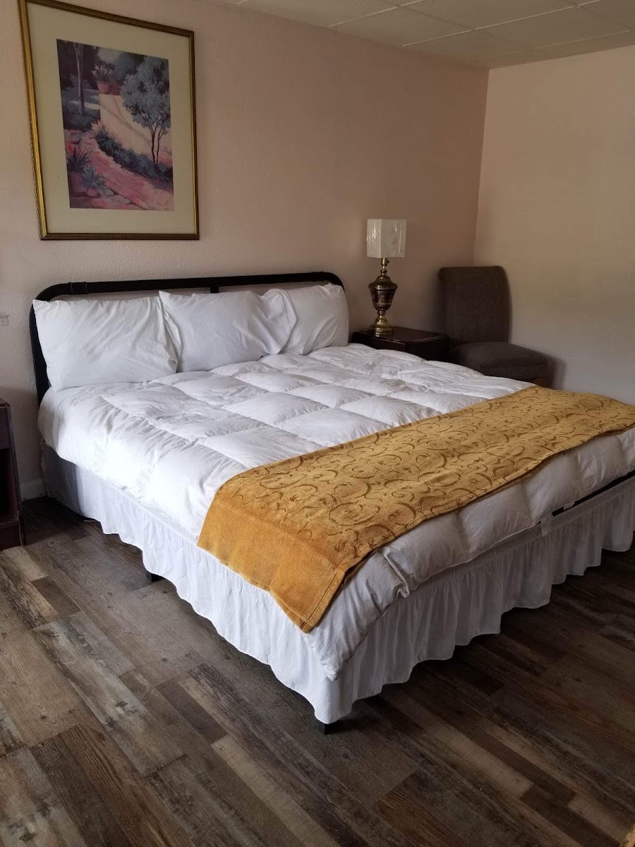 Budget Inn