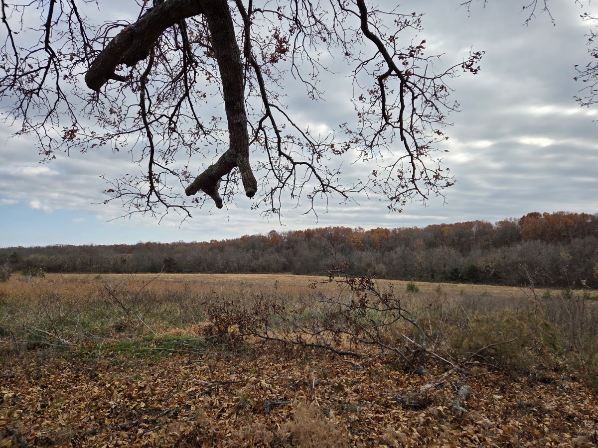 Robert E. Talbot Conservation Area