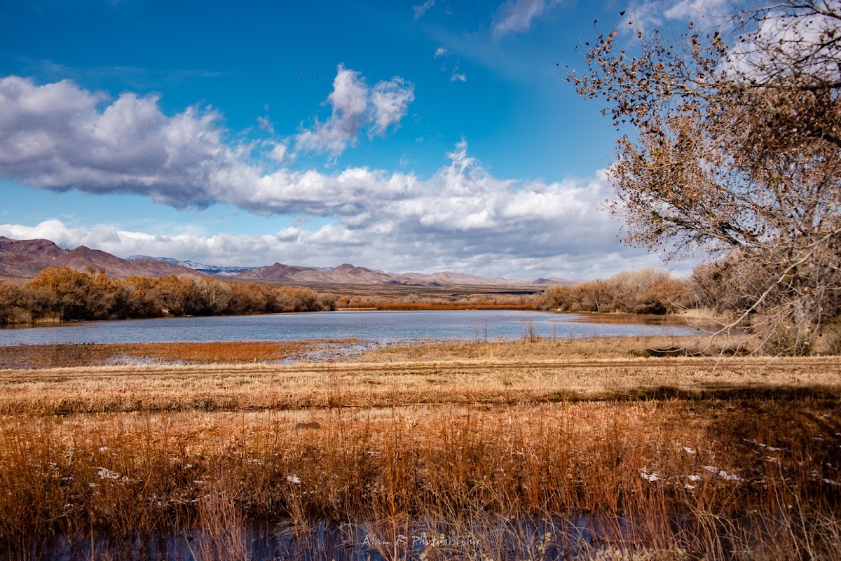 Bosque del Apache National Wildlife Refuge Visitor Center