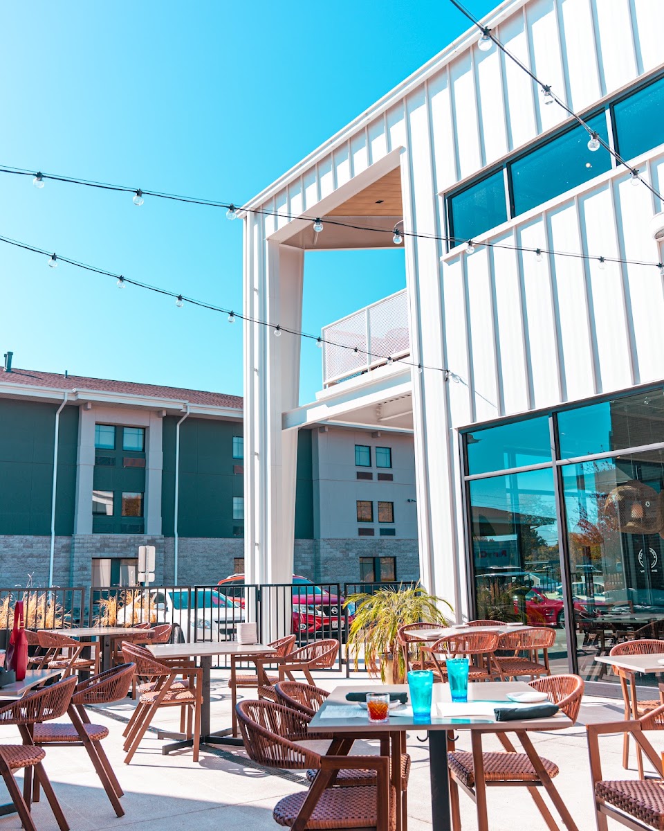 Palm & Paddle Grille