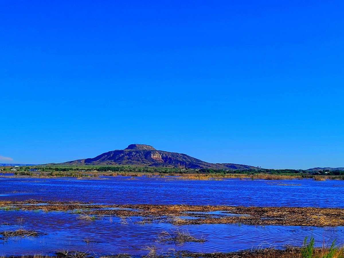 Tucumcari Wildlife Management Area