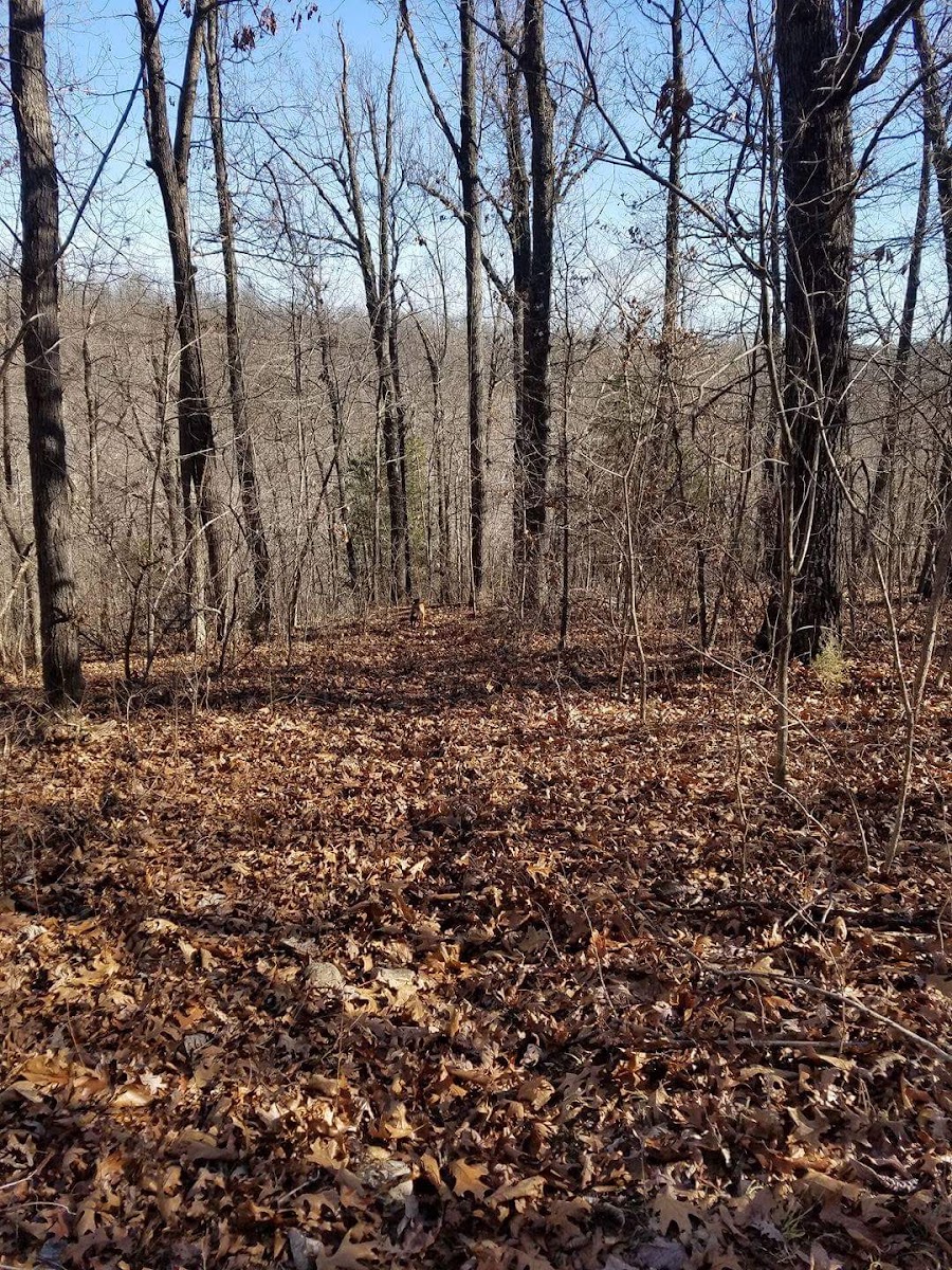 Pleasant Hope Conservation Area