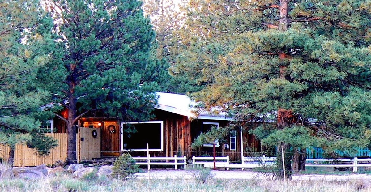 Cimarron Rose