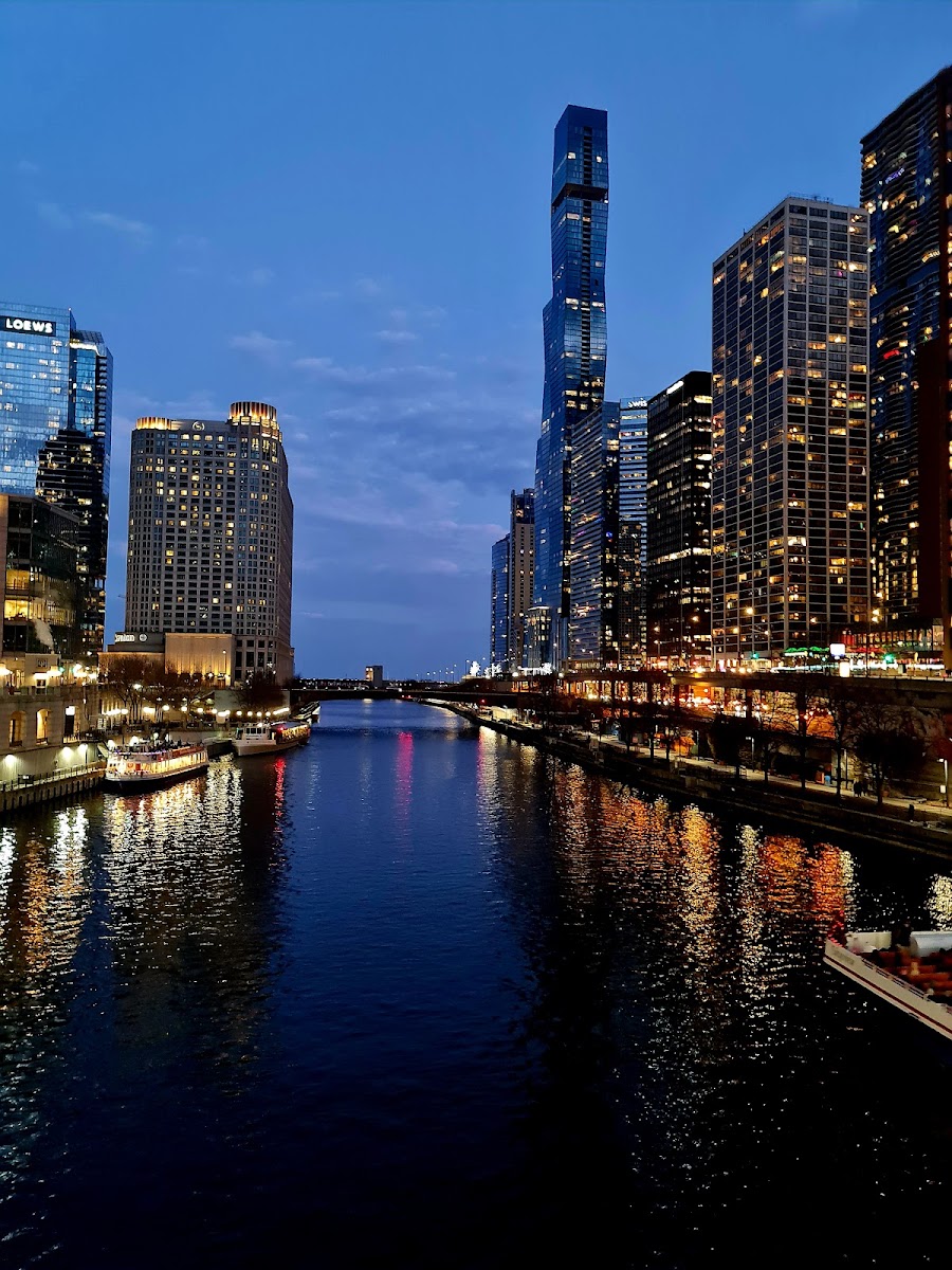 Chicago Rising from the Lake