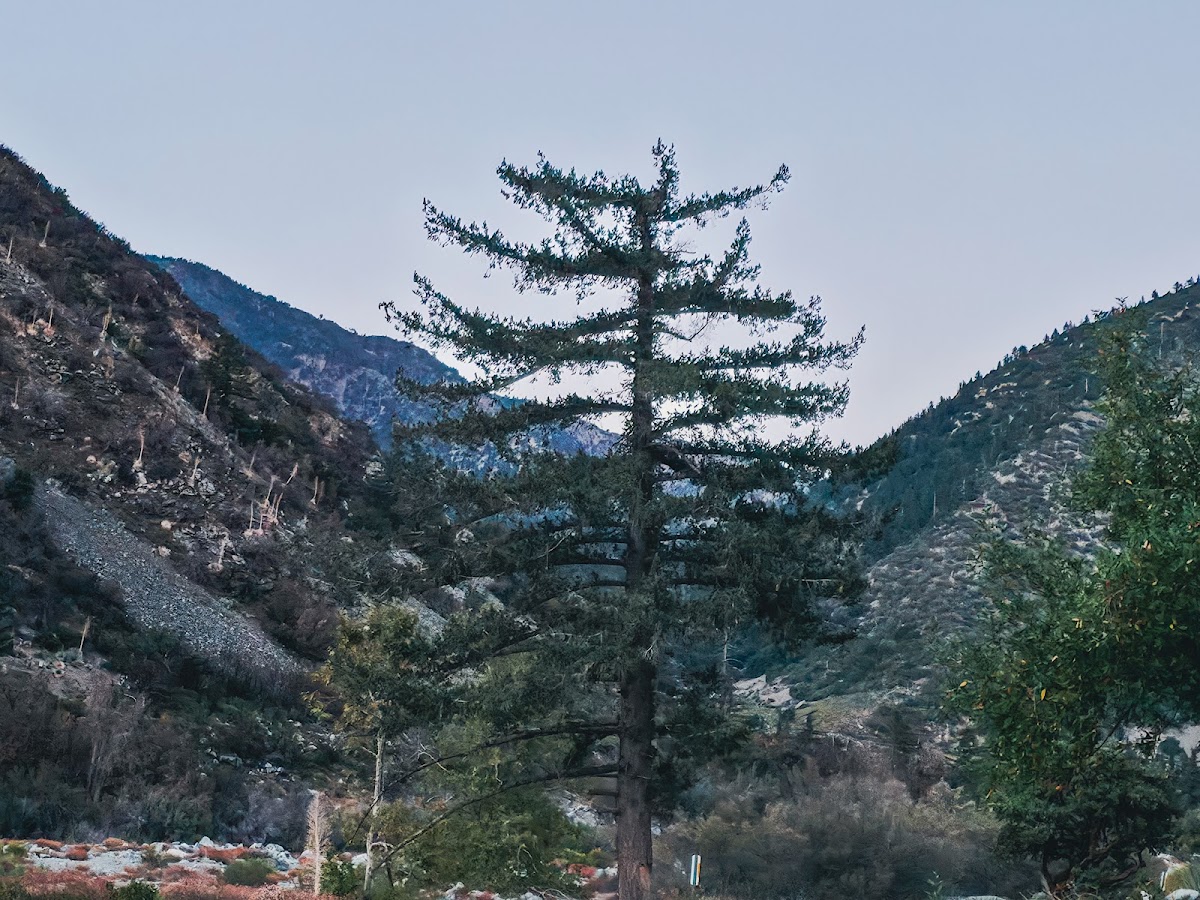 Mt Baldy Visitor Center