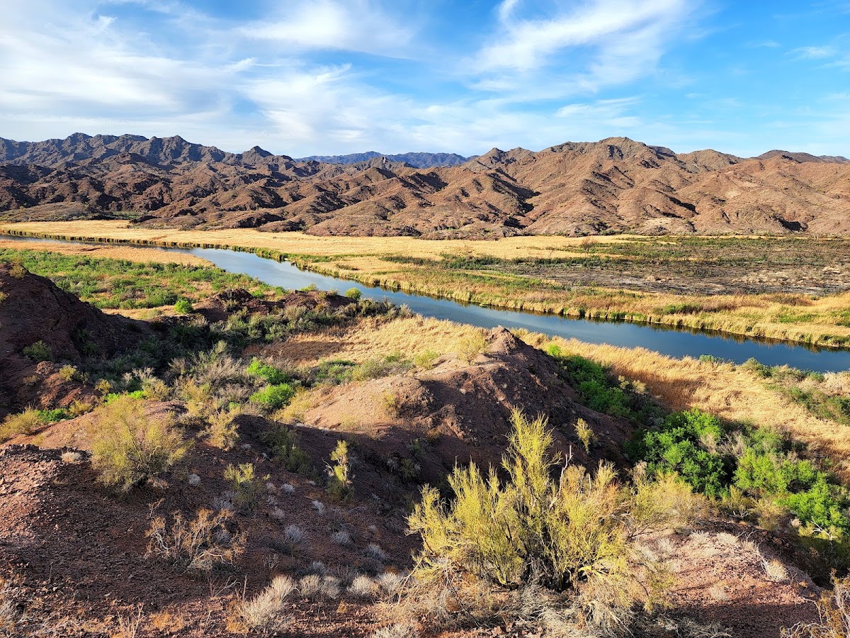 Bill Williams River National Wildlife Refuge