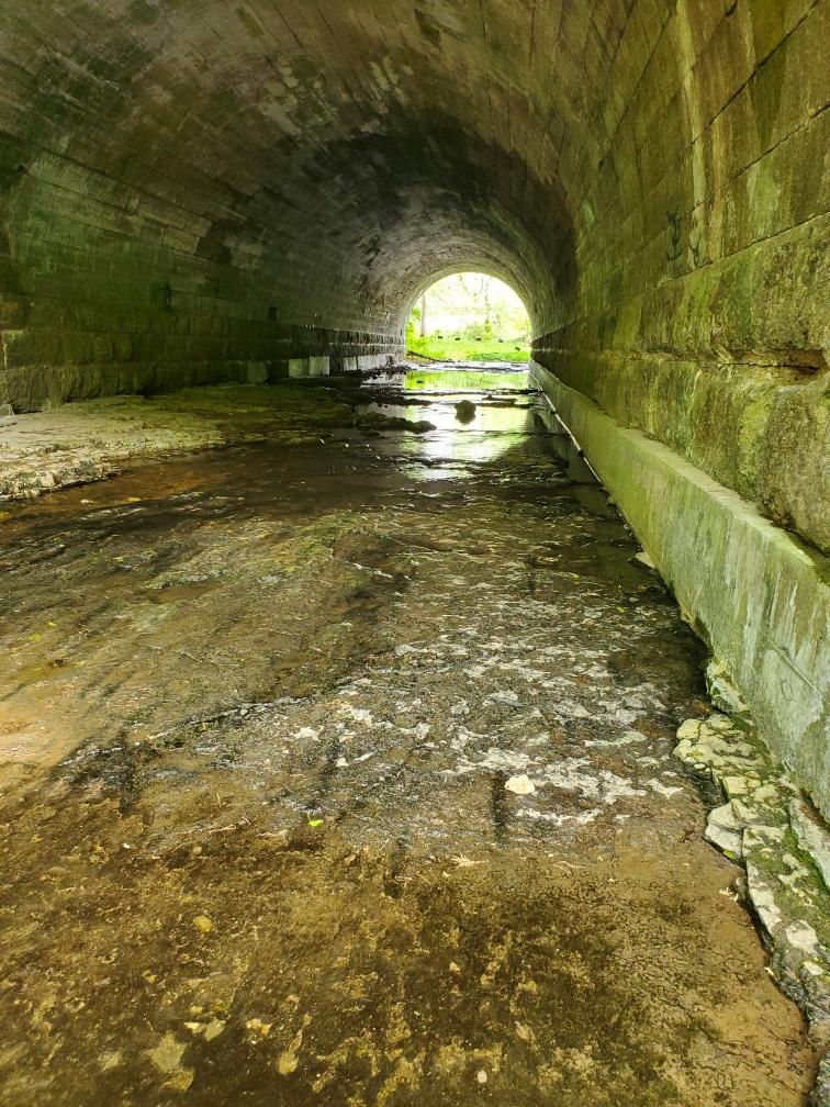 Bray Conservation Area