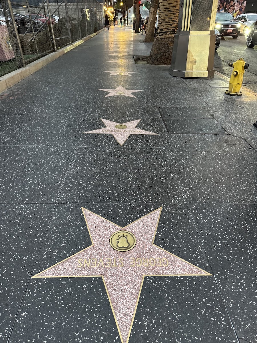 Hollywood Footprints