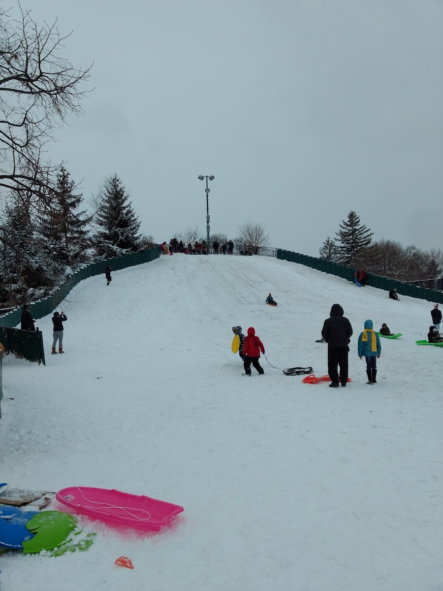 Barrie Park